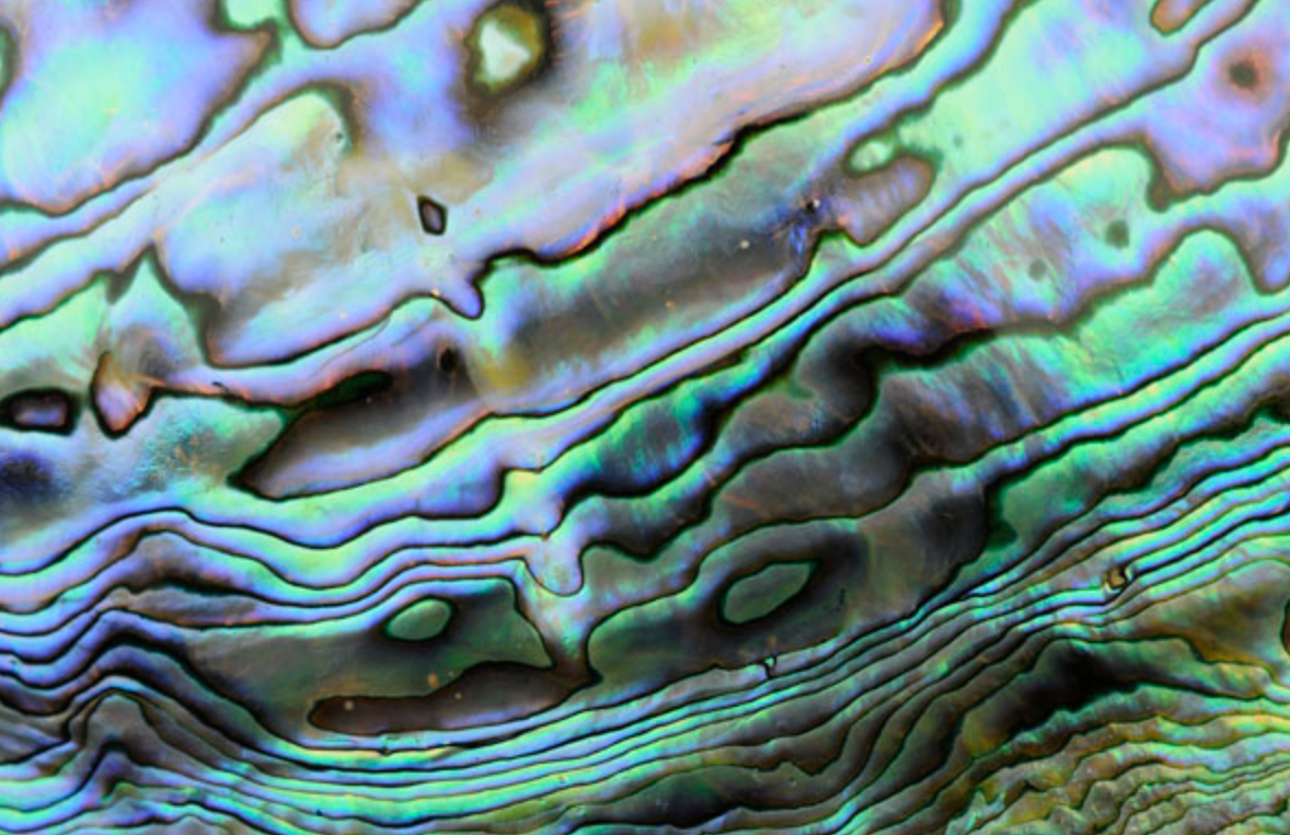 Jewelry Allergies Metals and Materials to Watch Out For Loytee