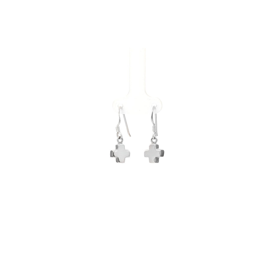 Loytee Dangles Earrings SE0011