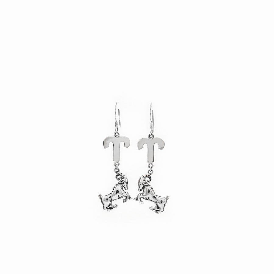 Loytee Dangles Earrings SE0045