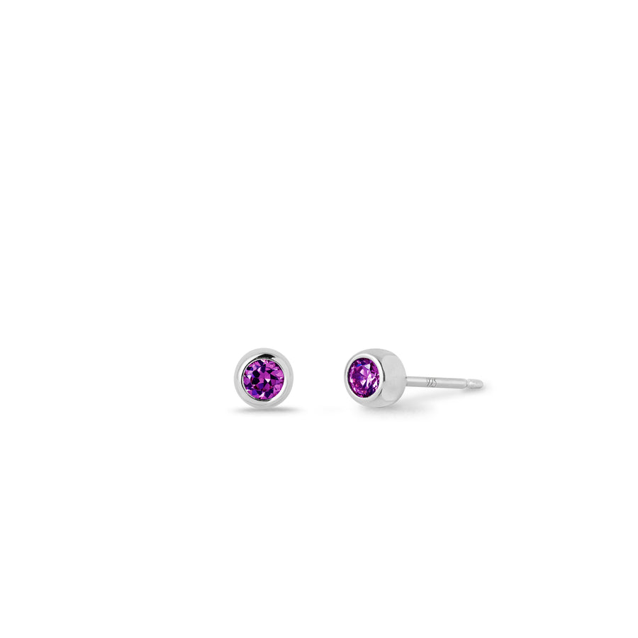 Birthstone Stud Earrings (SE21206)