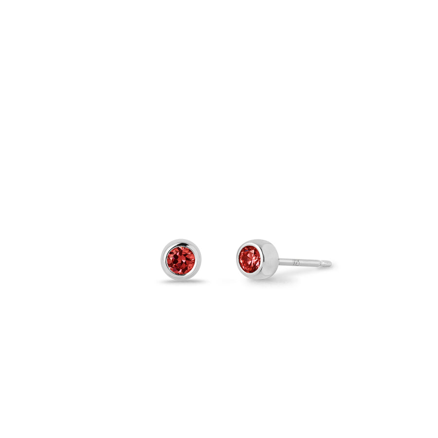 Birthstone Stud Earrings (SE21206)