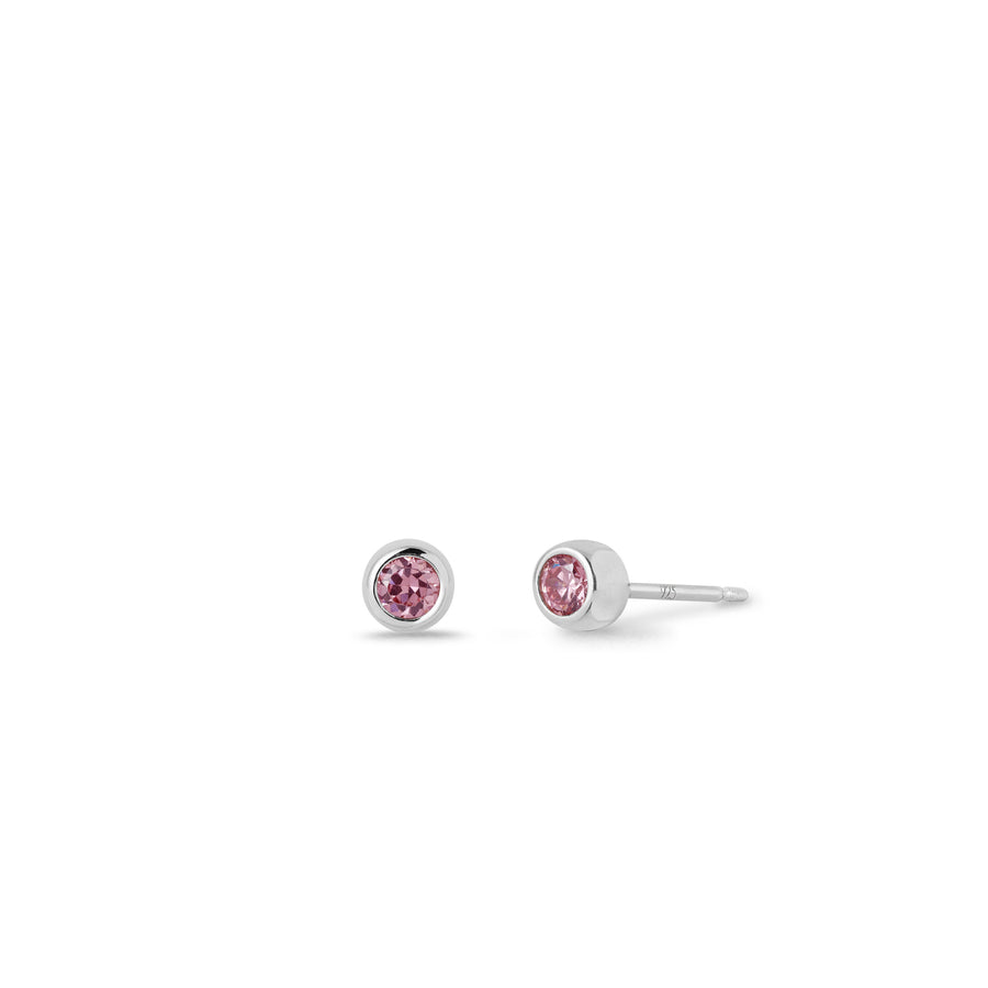 Birthstone Stud Earrings (SE21206)