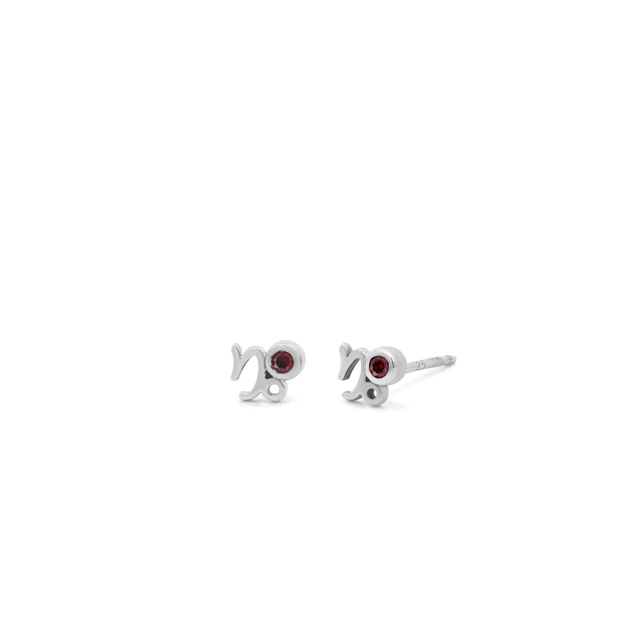 Zodiac Stud Earrings