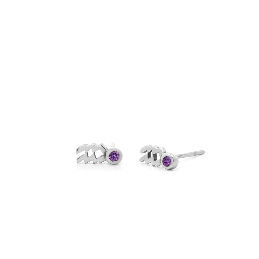 Zodiac Stud Earrings