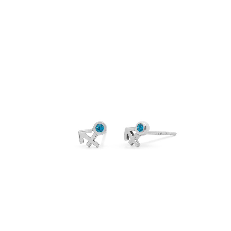 Zodiac Stud Earrings