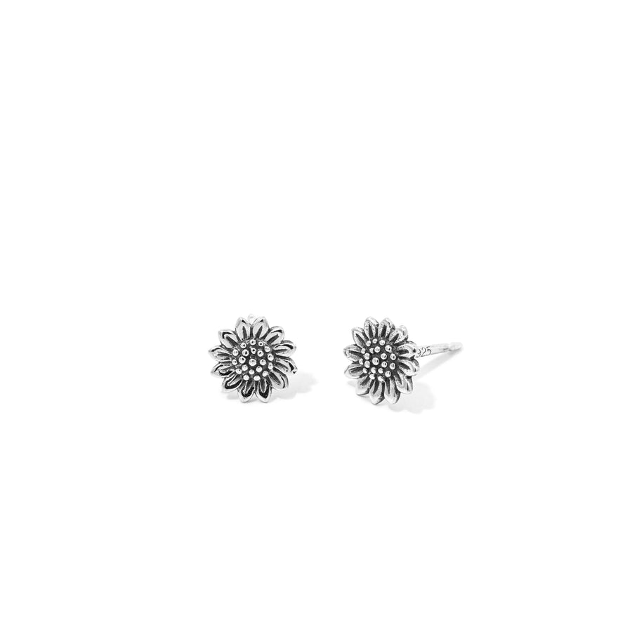 Loytee Studs Earrings SE29274