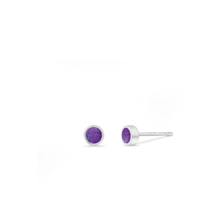 Birthstones Studs with Stone (SE30831)