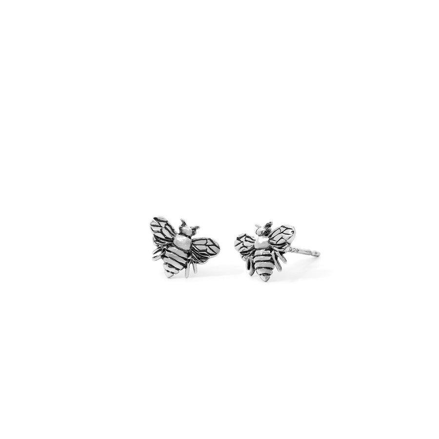 Loytee Studs Earrings SE31298