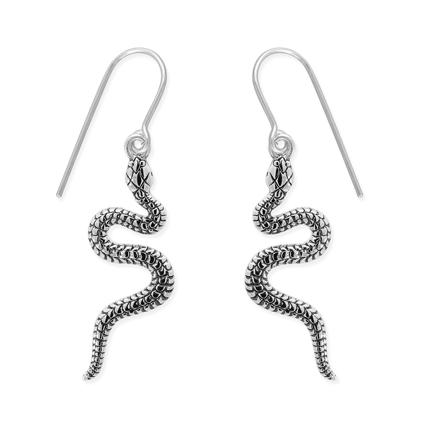 Loytee Dangles Earrings SE32125B