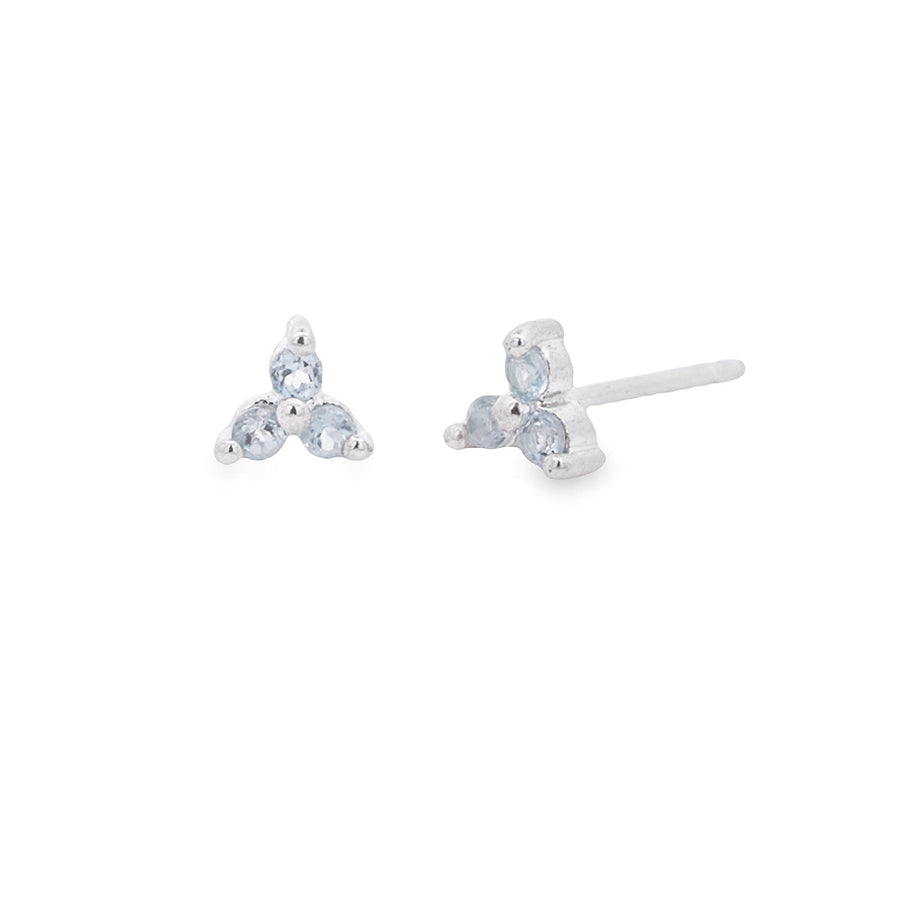 Loytee Studs Earrings SE32373BT