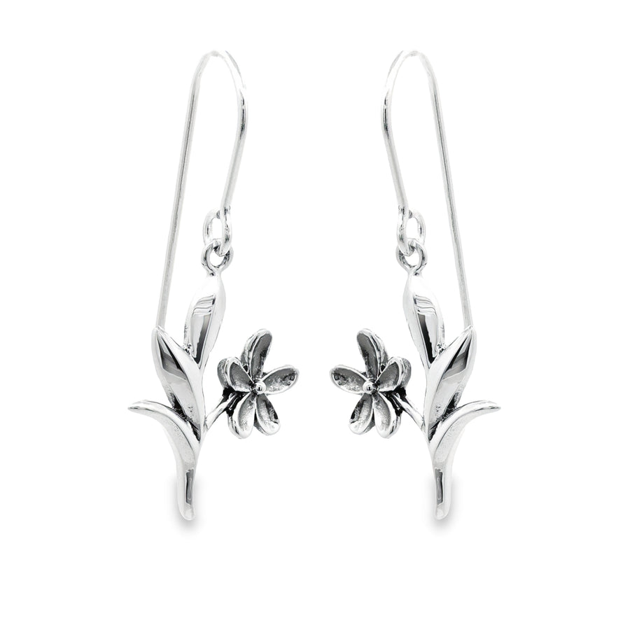 Loytee Dangles Earrings SE33615B