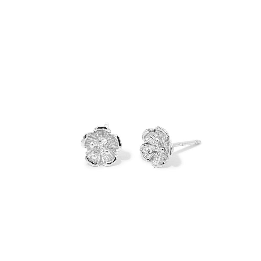 Loytee Studs Earrings SESV23582