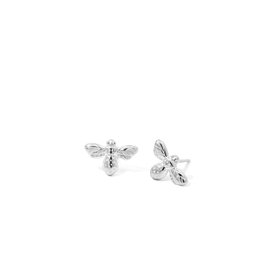 Loytee Studs Earrings SESV27004
