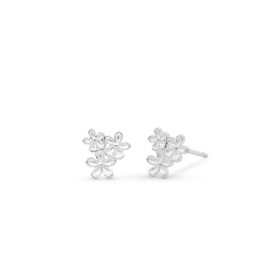 Loytee Earrings SESV34061