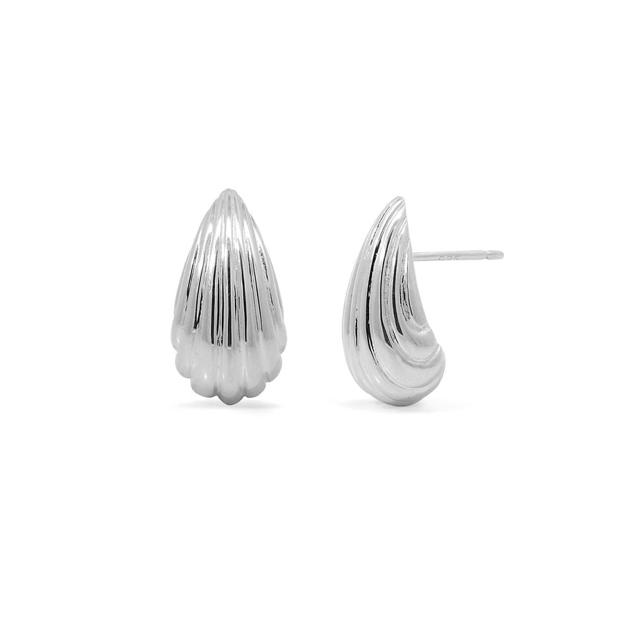 Loytee Studs Earrings SESV34414