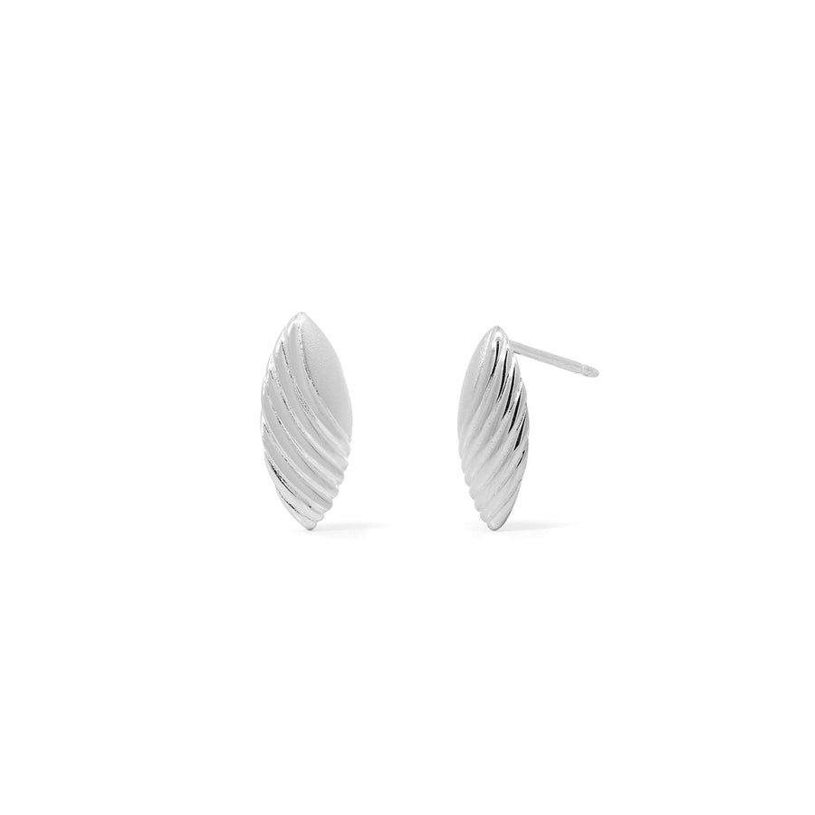 Loytee Studs Earrings SESV34461