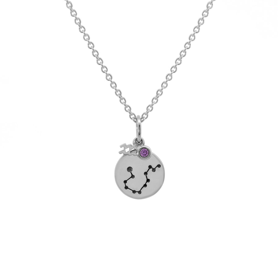 Zodiac Disc Necklaces
