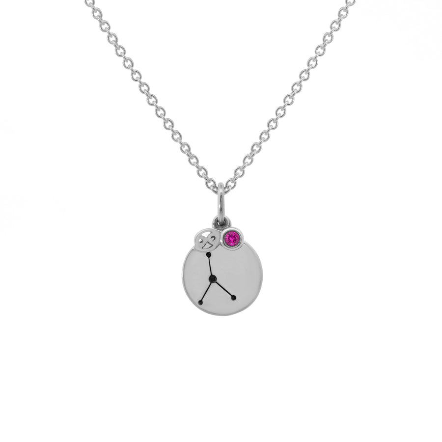 Zodiac Disc Necklaces