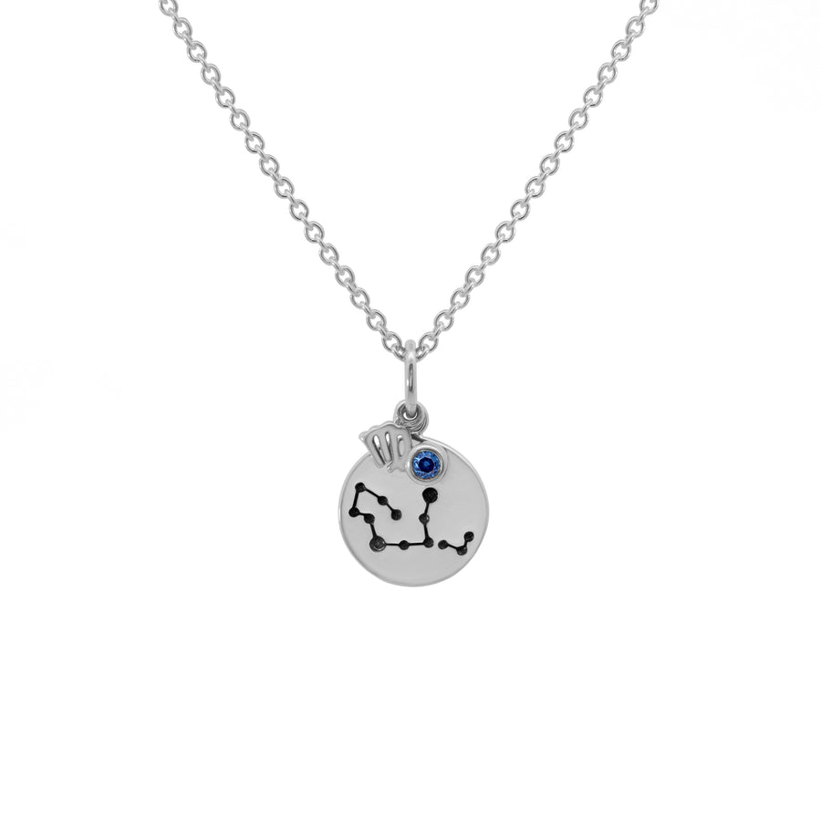 Zodiac Disc Necklaces