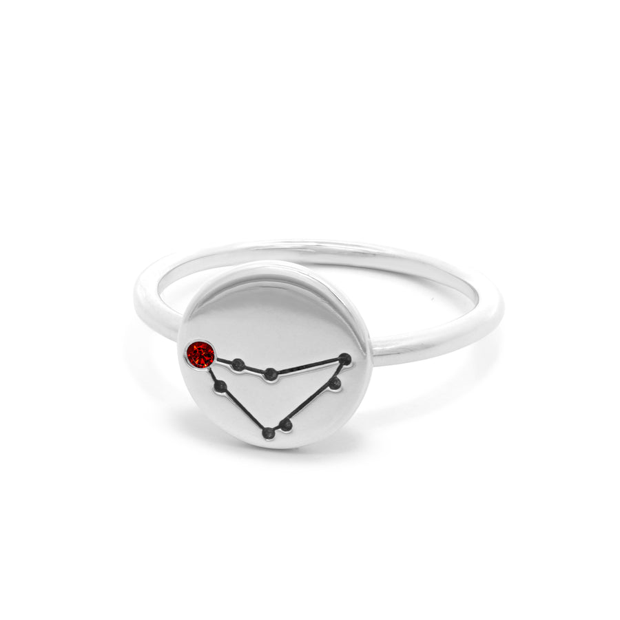 Zodiac Disc Rings
